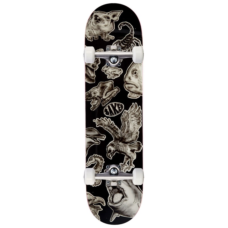 Baker Rowan Zorilla Nozzle Clog Skateboard Complete – 8.00″